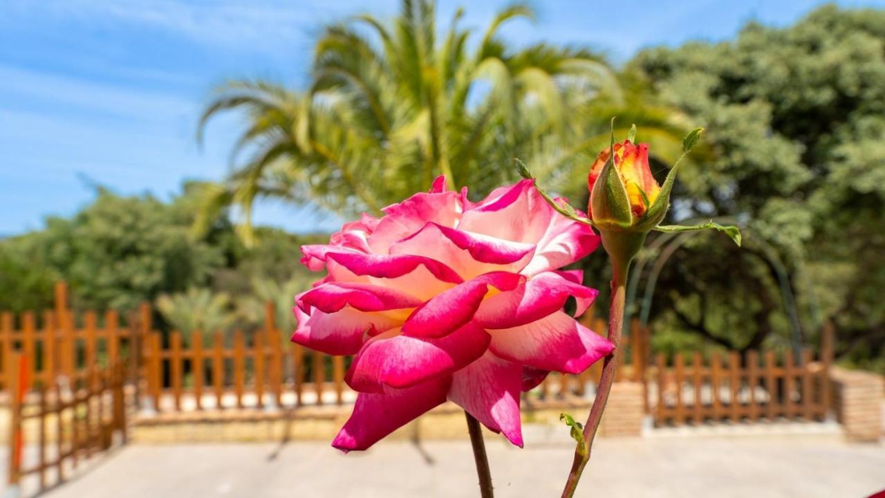 Brisas Del Palmeral Cerro Muriano By Ruralidays Holiday home Cordoba